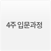 4주 입문과정